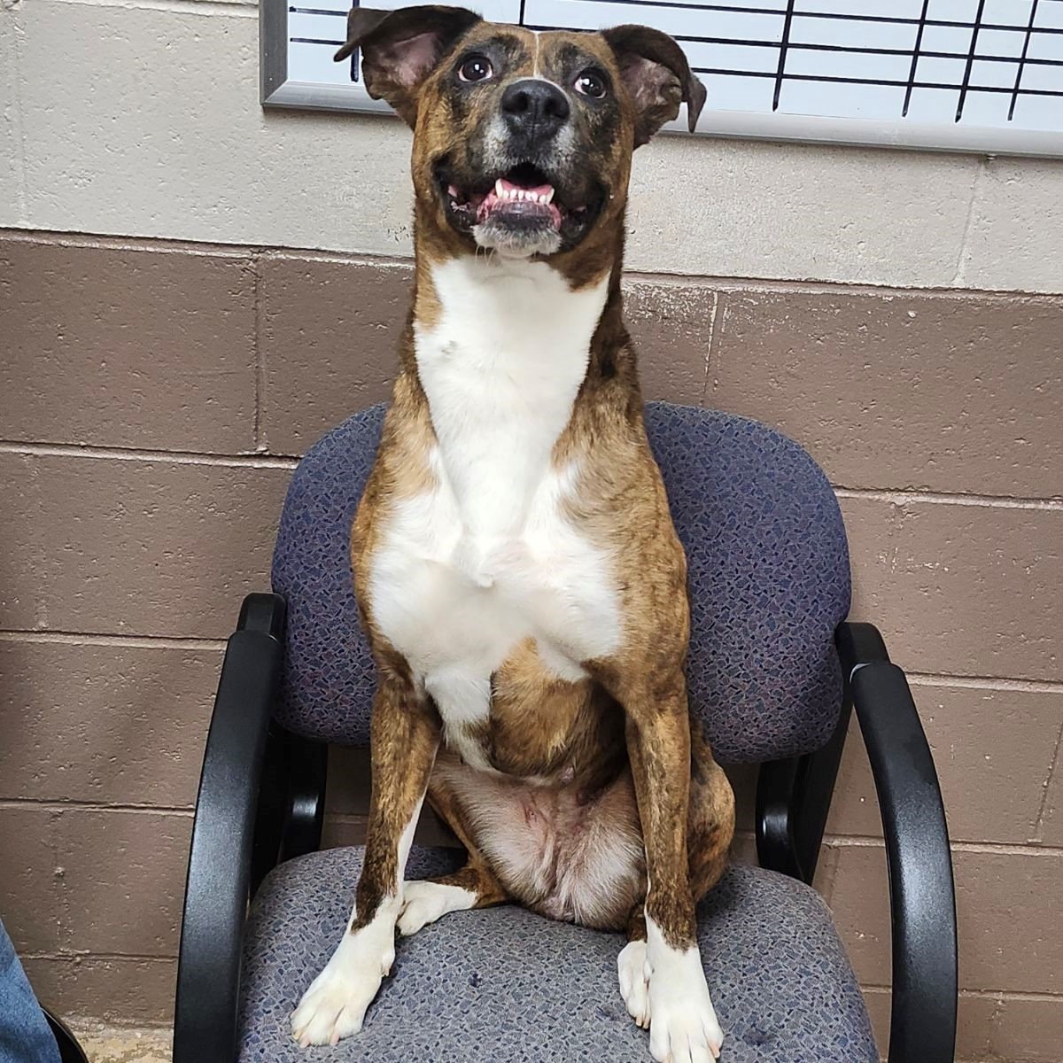 24-149 Available 7-26-24