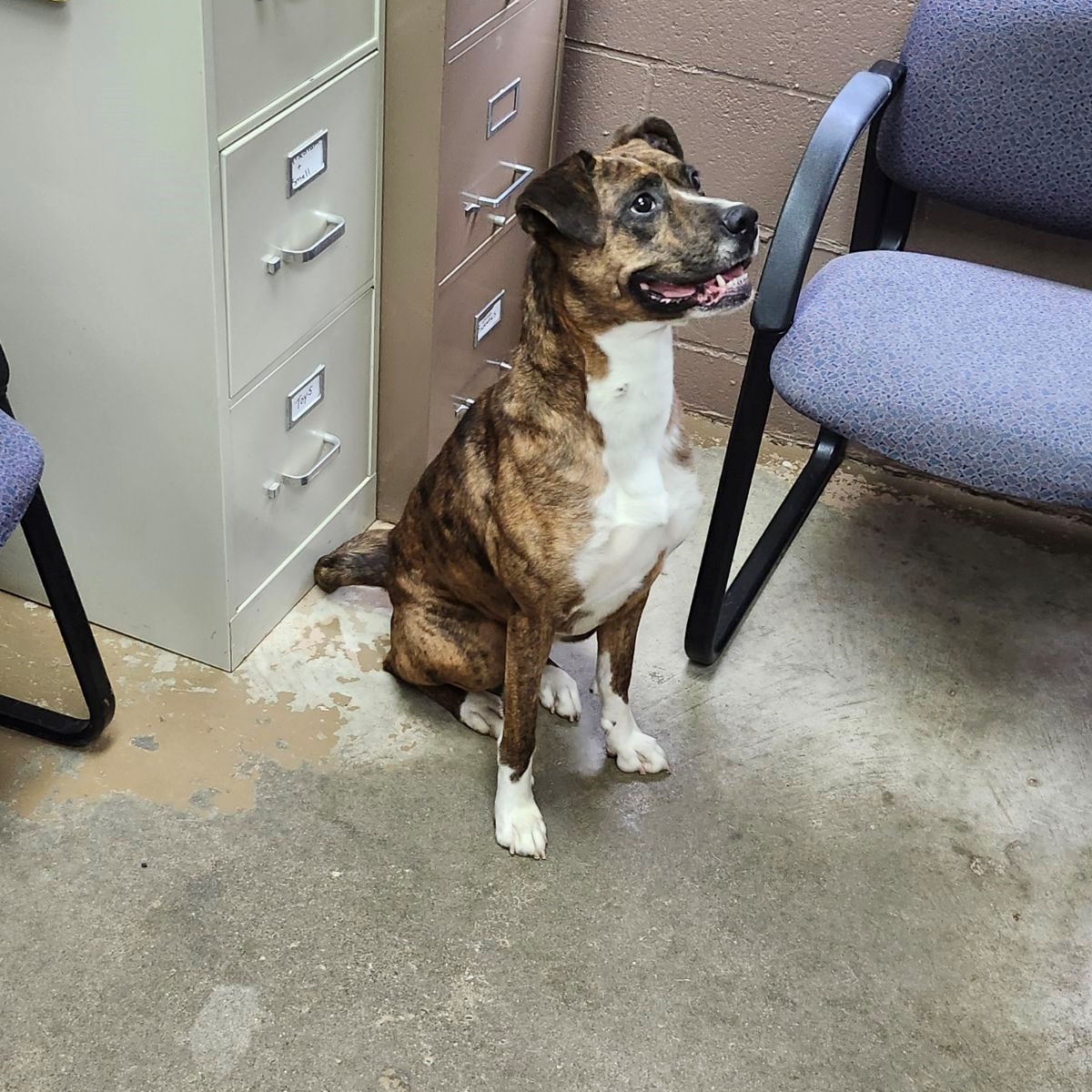 24-149 Available 7-26-24