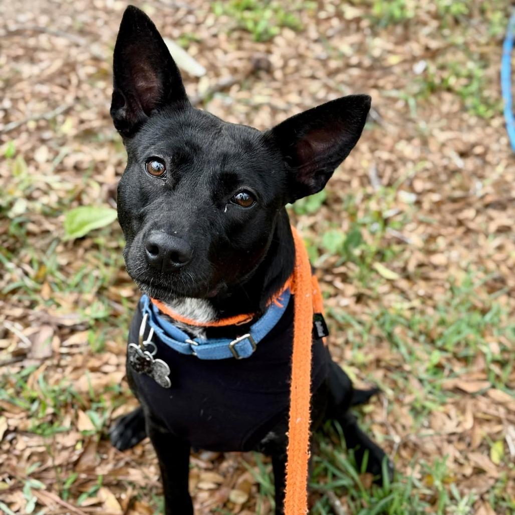 Maddie — thumbnail 2