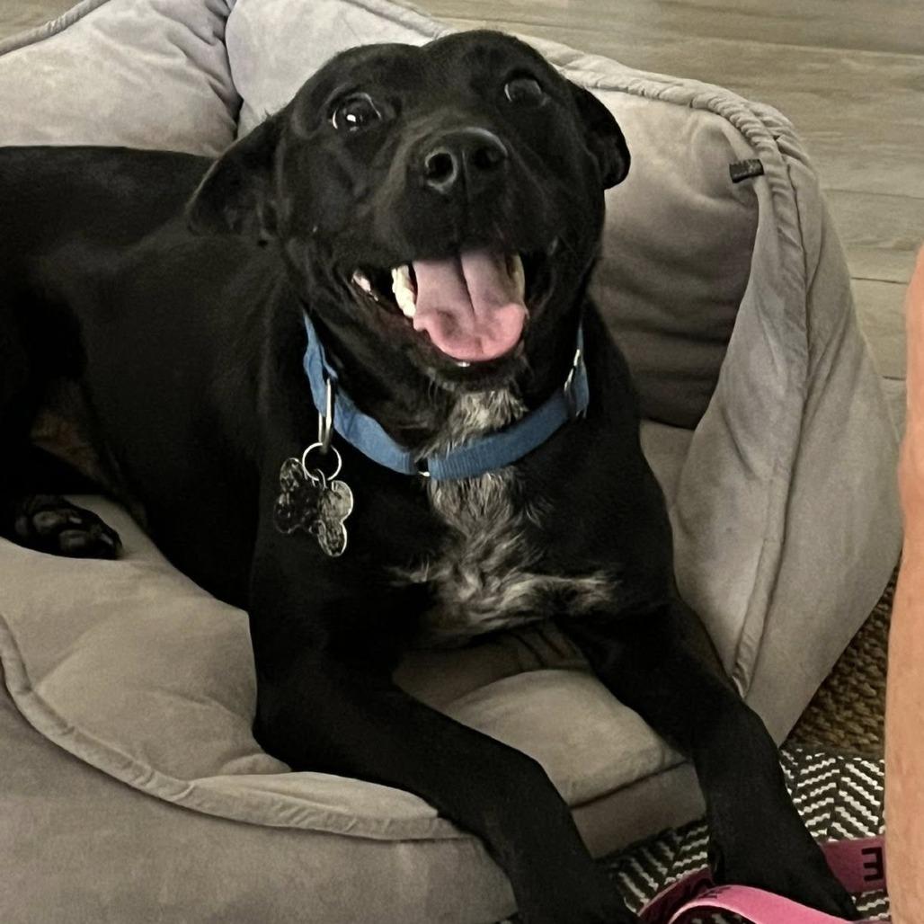 Maddie — thumbnail 3