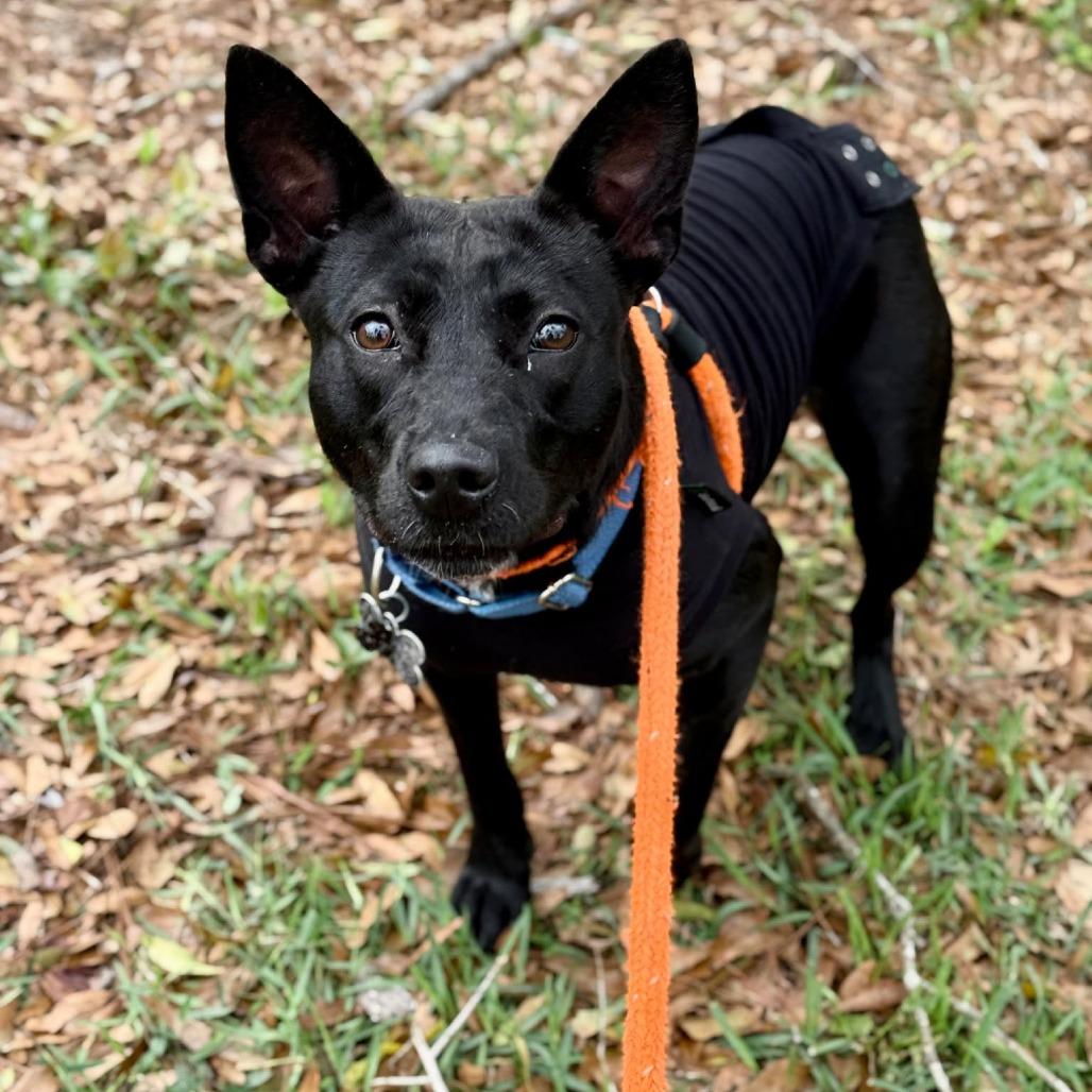 Maddie — thumbnail 4