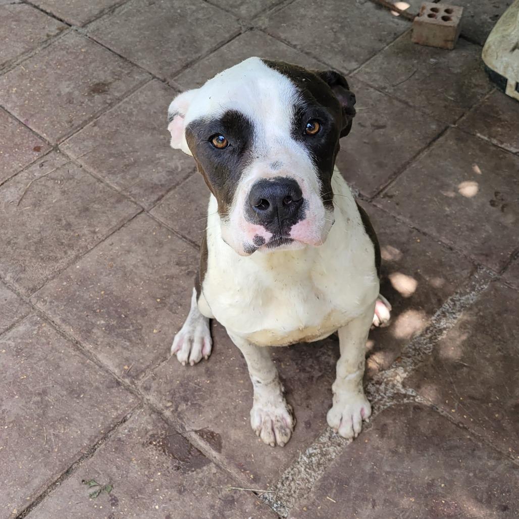 Nike — thumbnail 2