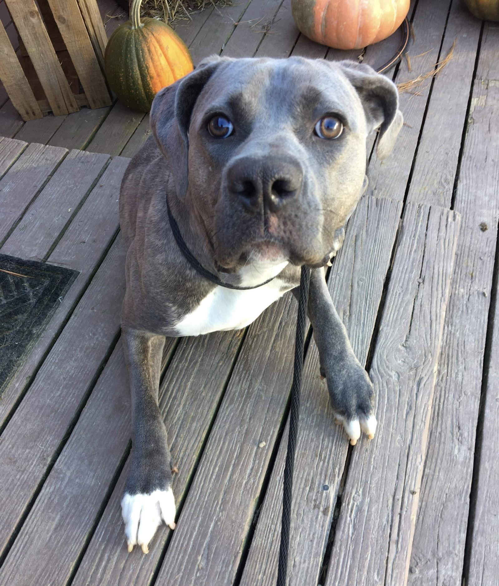 Kylie — thumbnail 3