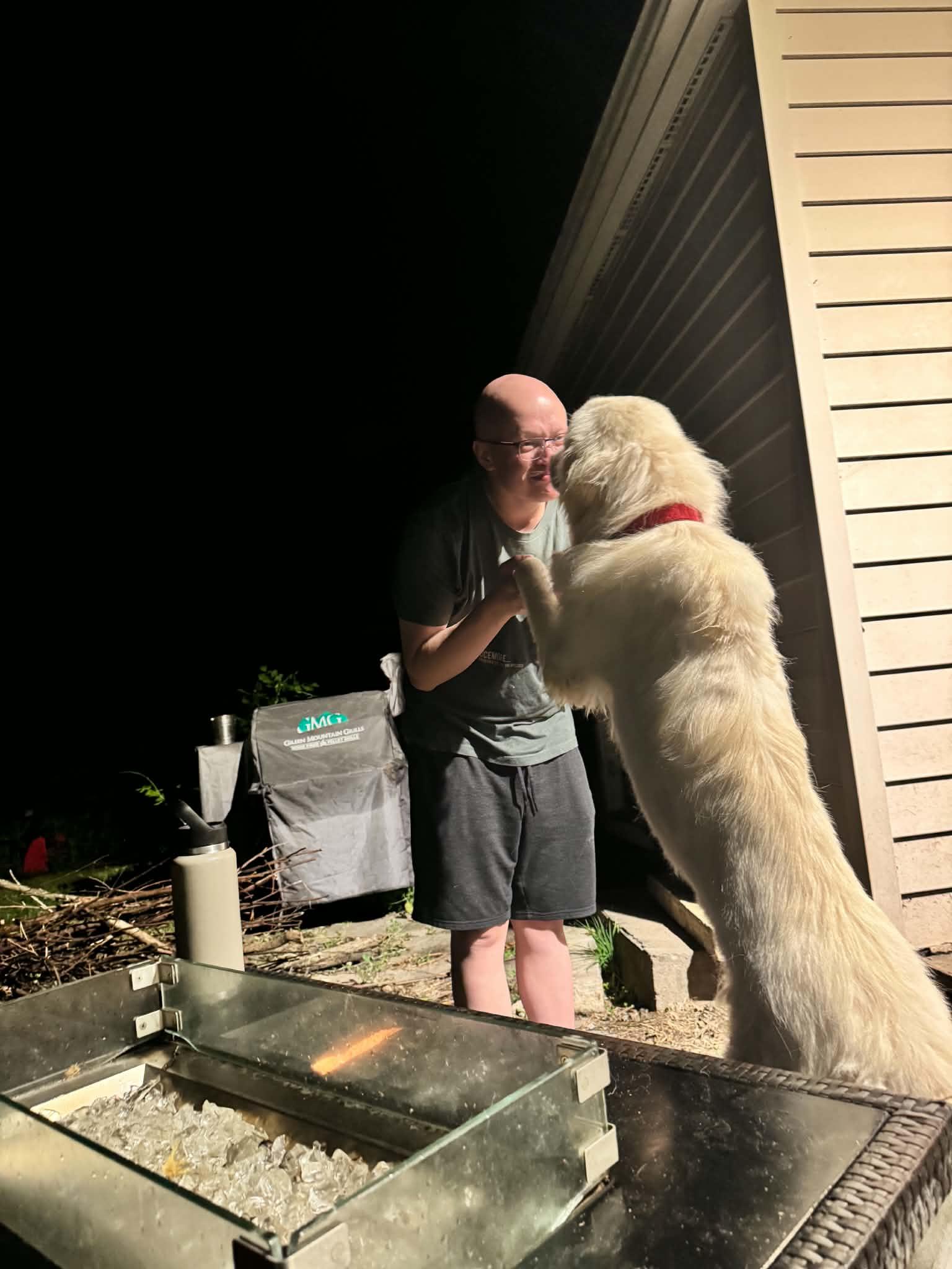 Koda, a ADOPTABLE Great Pyrenees in Cedar Rapids, IA image 5/6