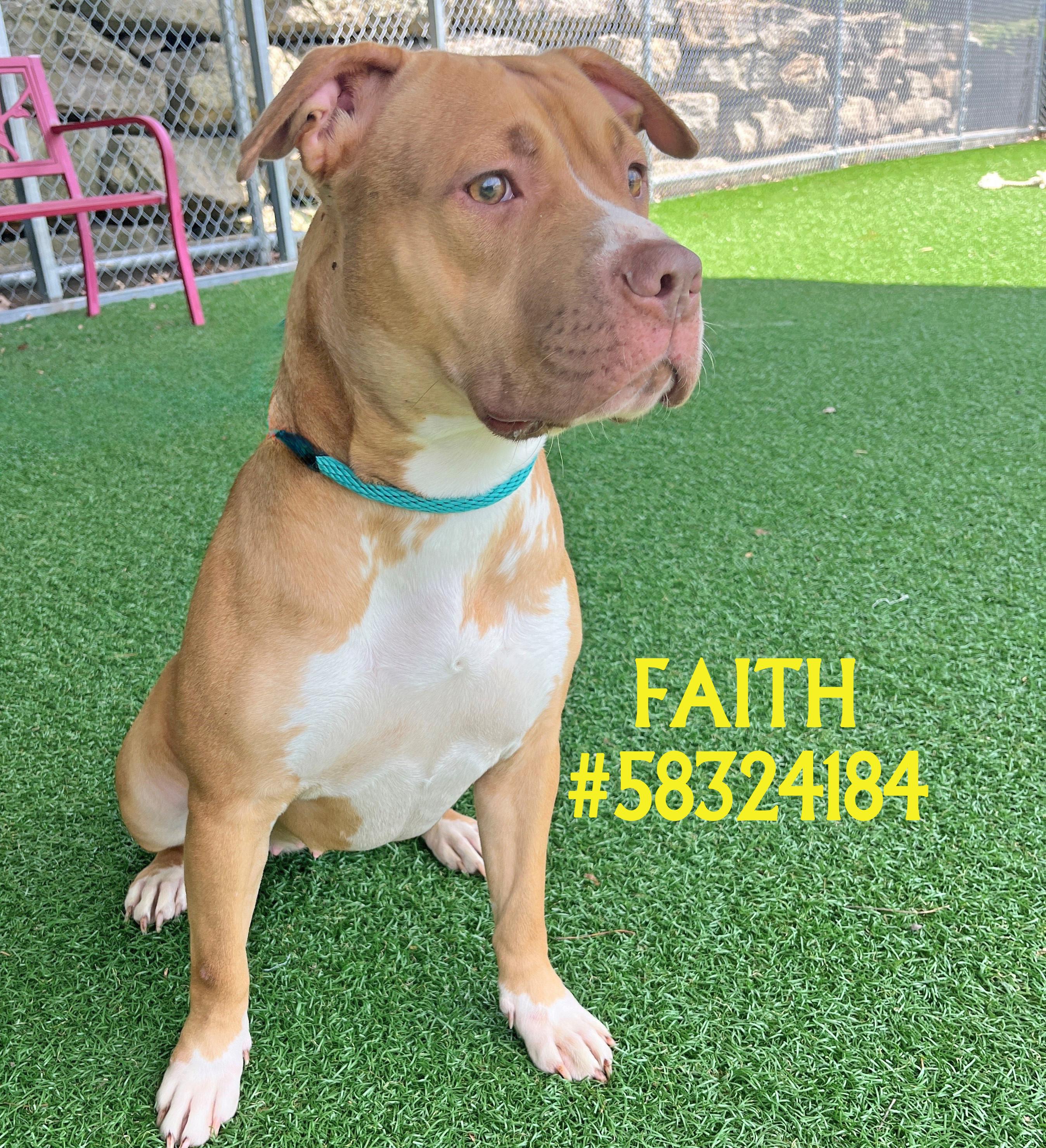Faith
