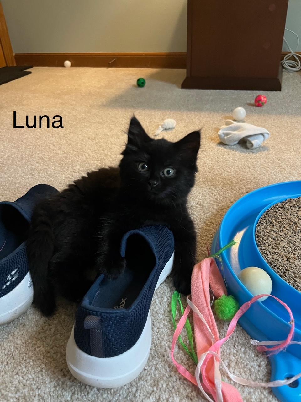 Luna