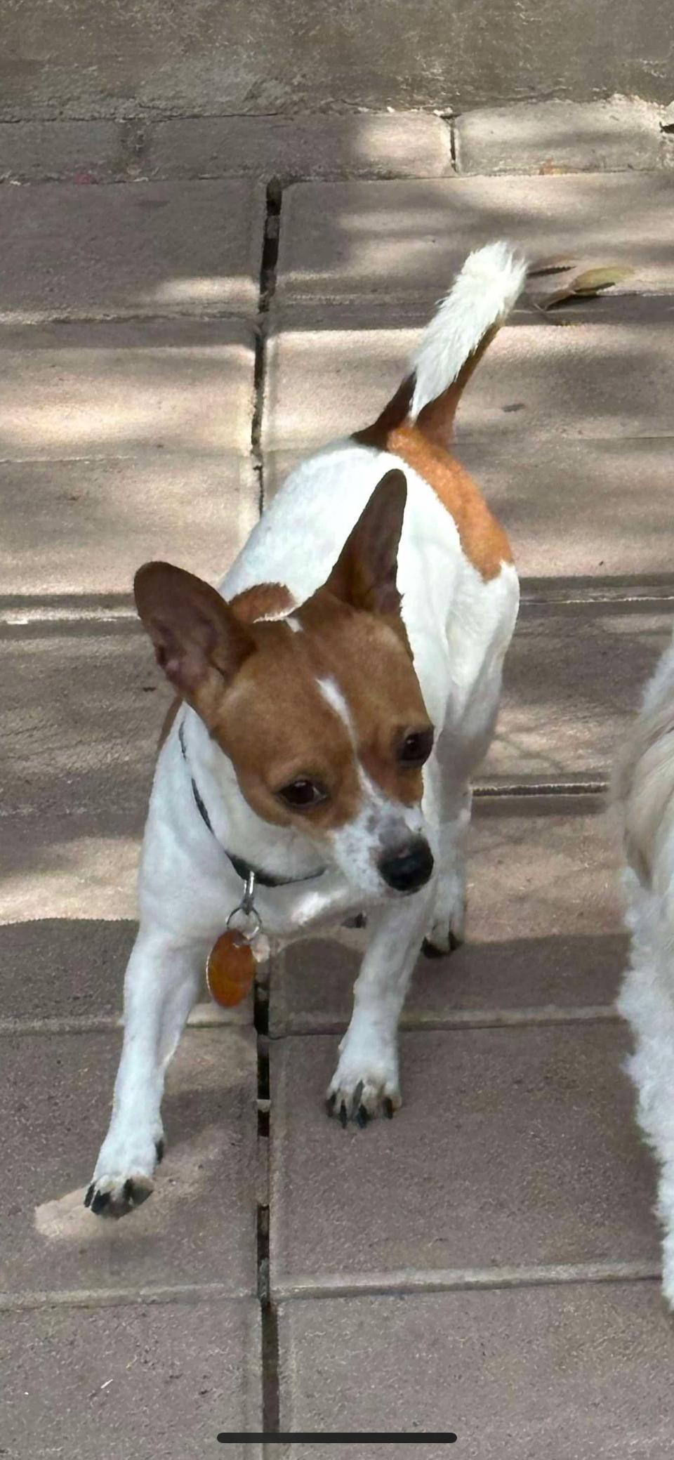 Charlie photo 5