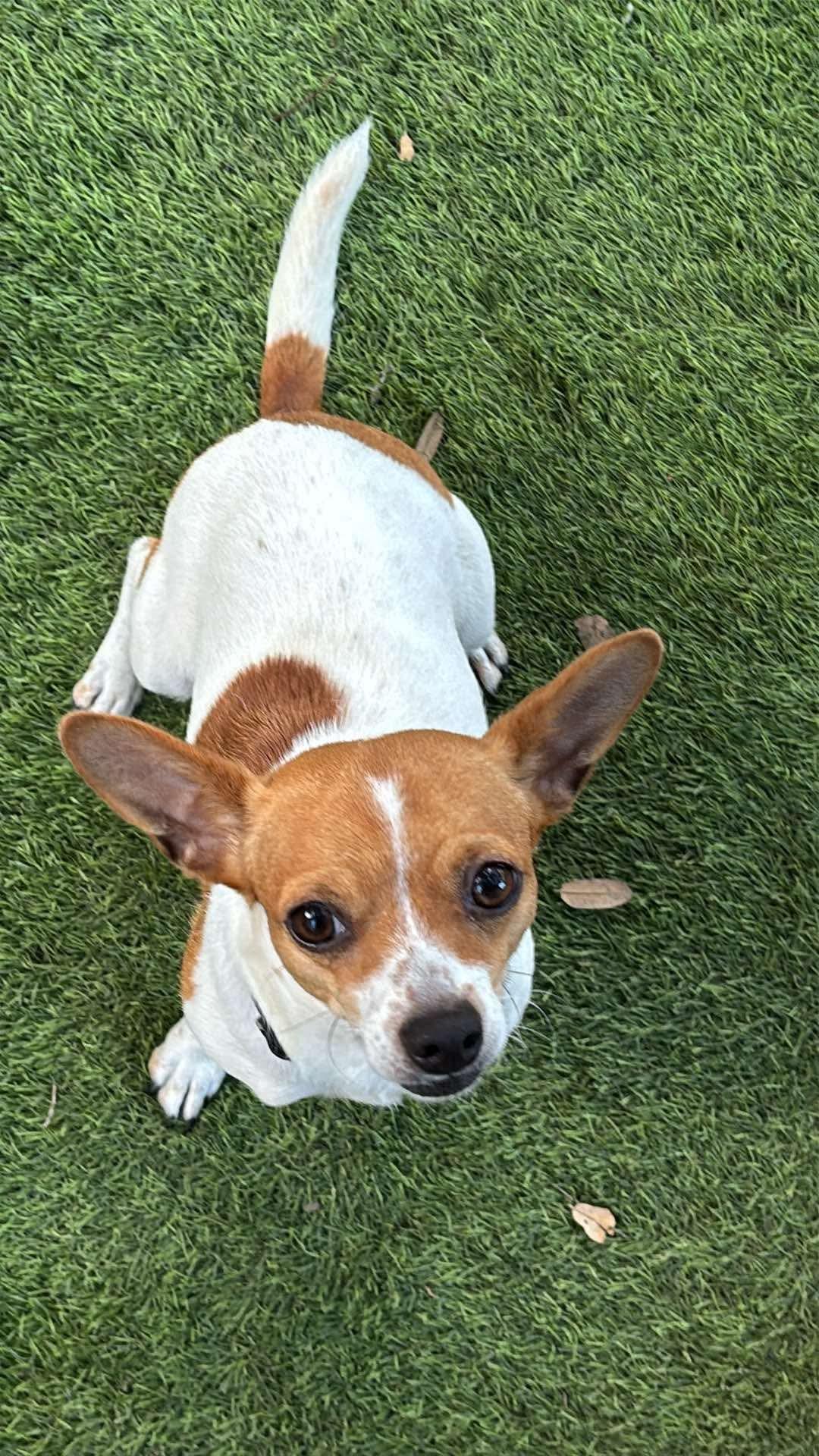 Charlie photo 3