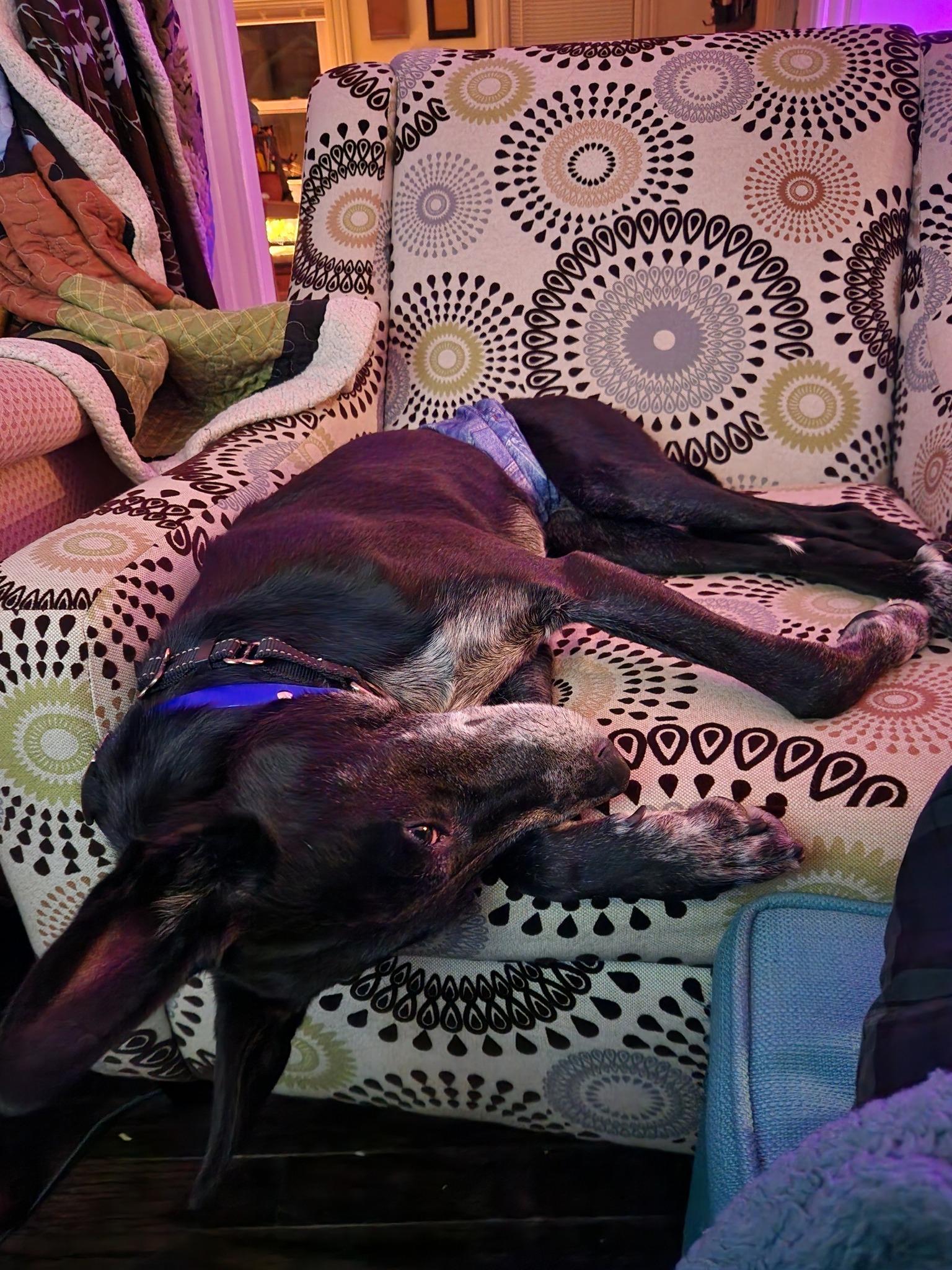 Dudley thumbnail 2