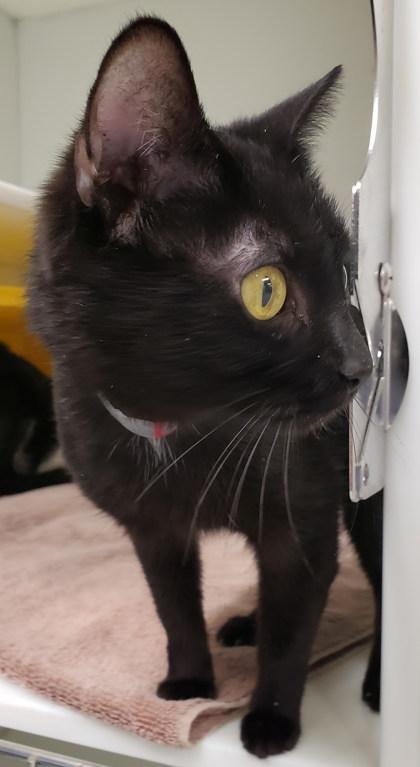 Berlin 6 — thumbnail 2