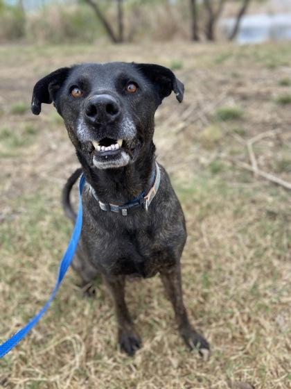 Buford — thumbnail 2