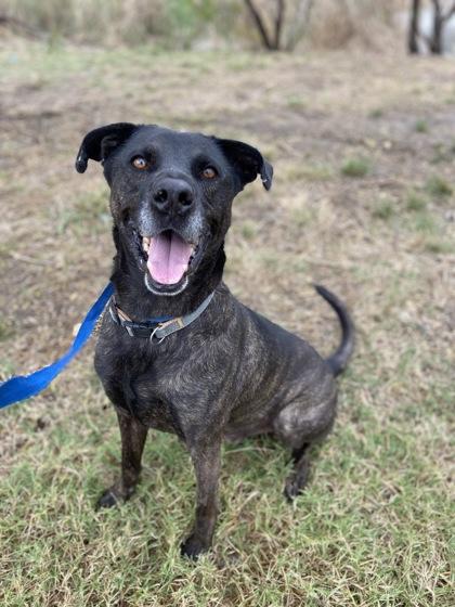 Buford — thumbnail 3