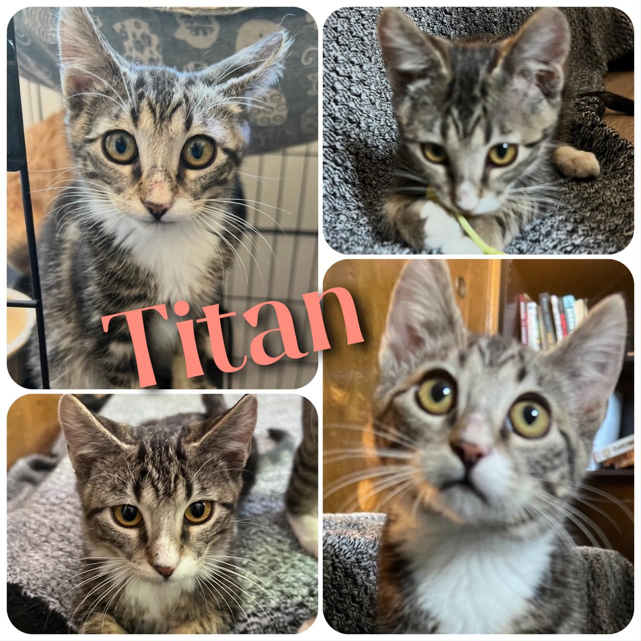 Titan