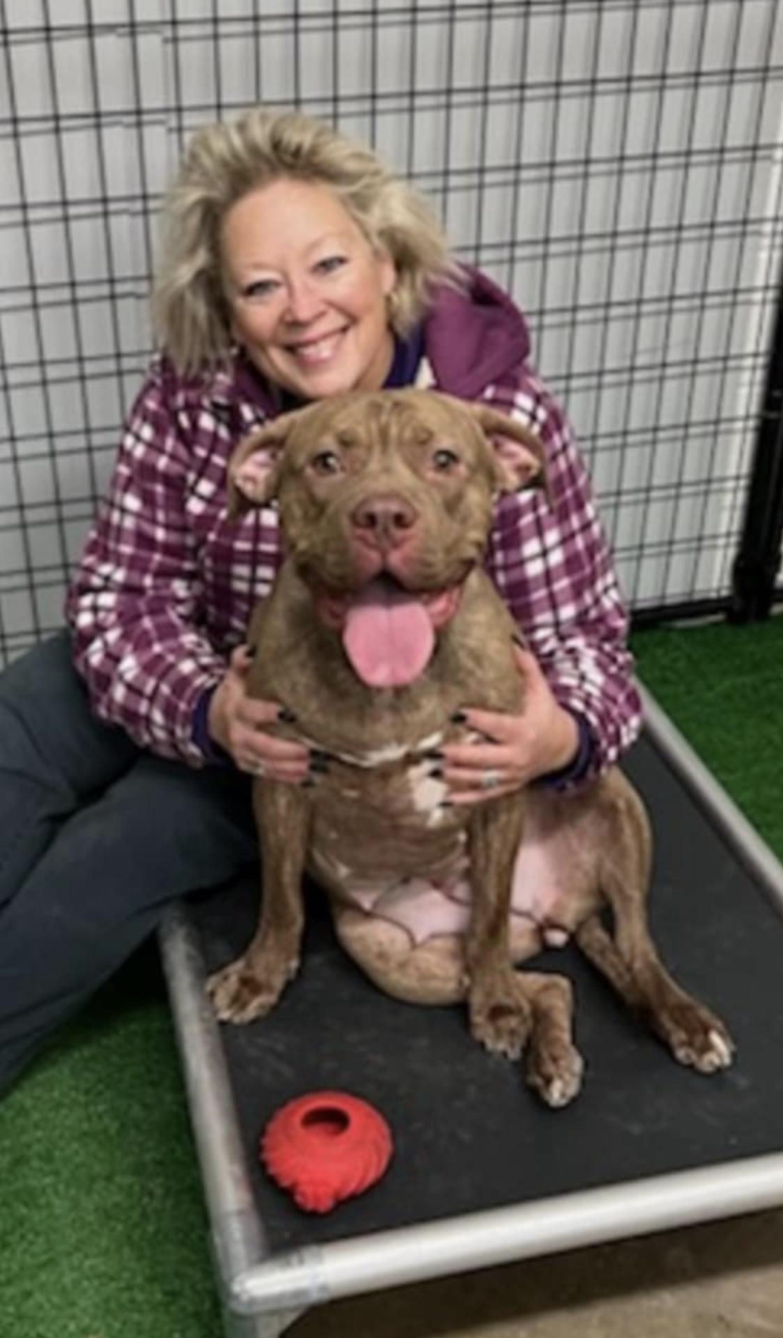 Enlarge Galinda, an adoptable mixed breed in Springfield, IL image 6/6