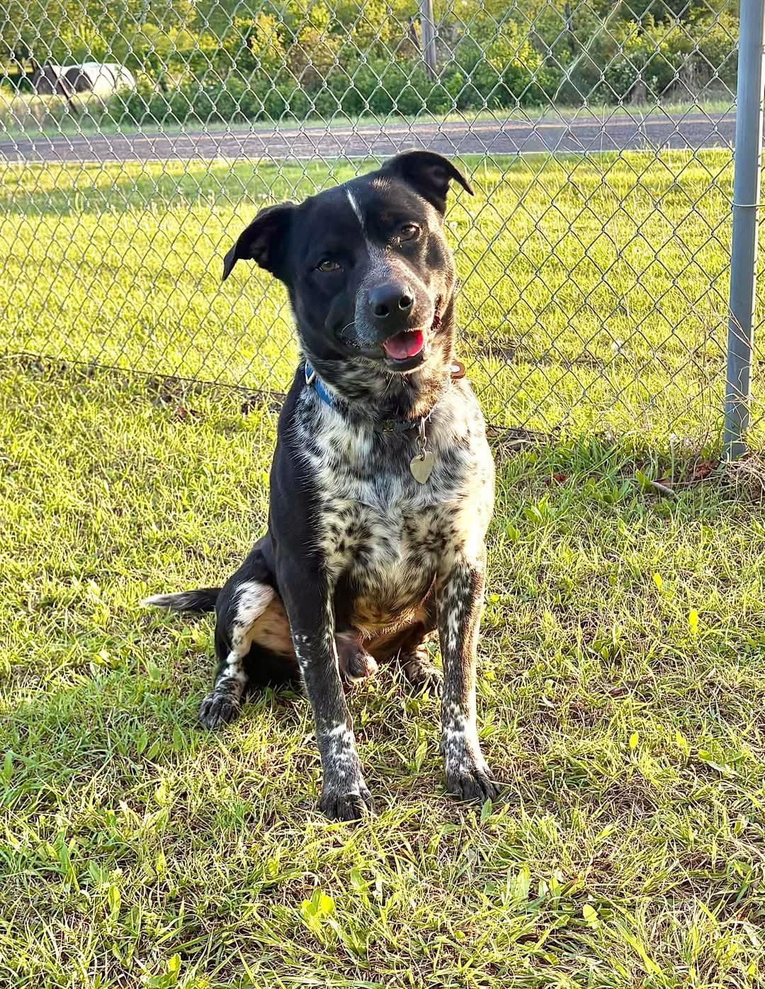 Clyde