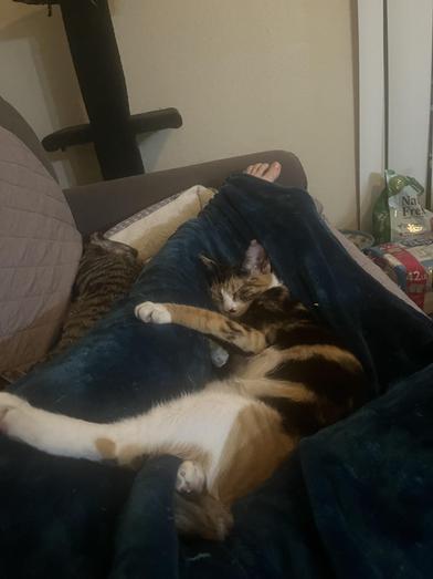 Tuvalu — thumbnail 6