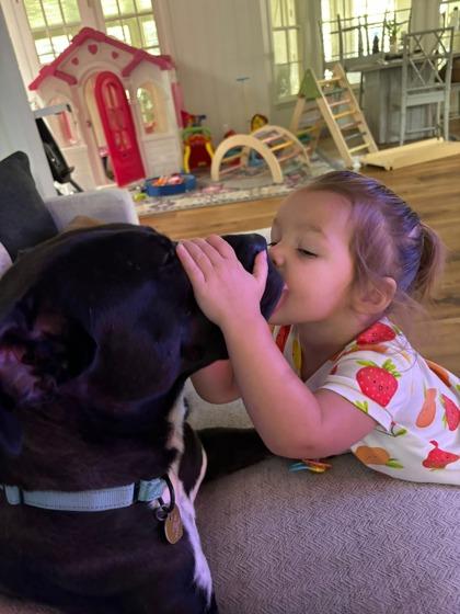 Tennessee, a Adoptable Mixed Breed in Fort Worth, TX image 2/3