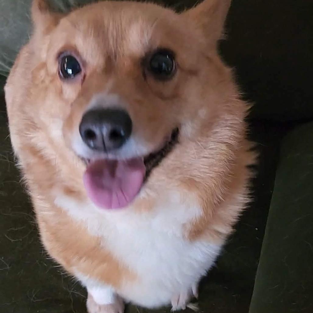 Baroness Von Hashbrown  thumbnail 2