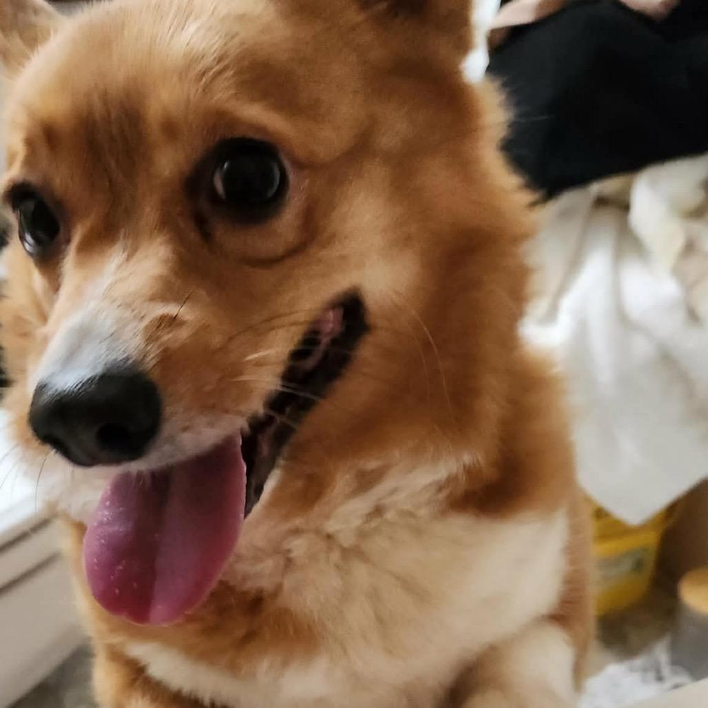 Baroness Von Hashbrown  thumbnail 4