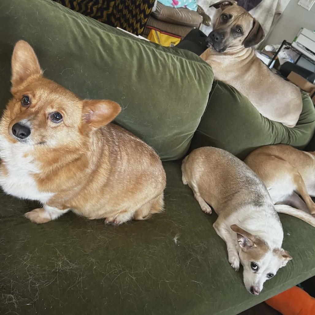 Baroness Von Hashbrown  thumbnail 5