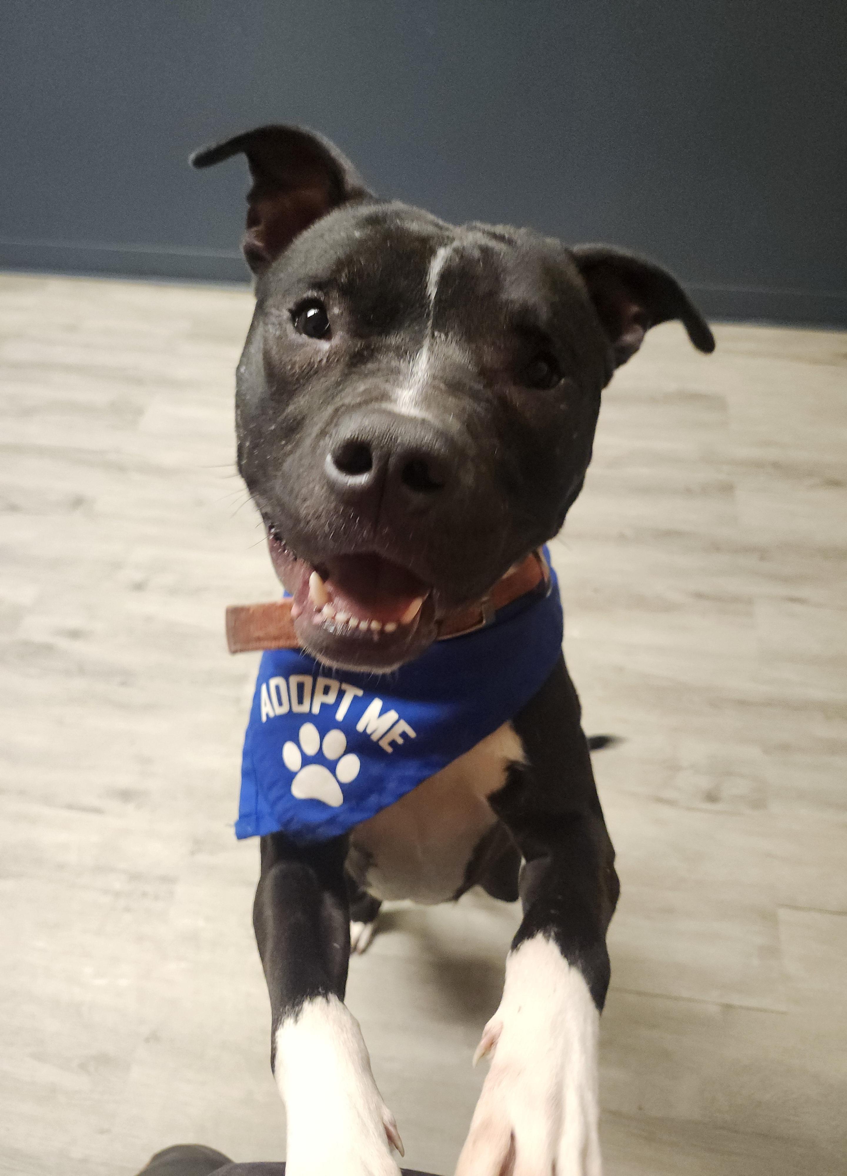 Harrison thumbnail 3