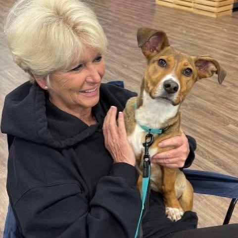 Holly — thumbnail 4