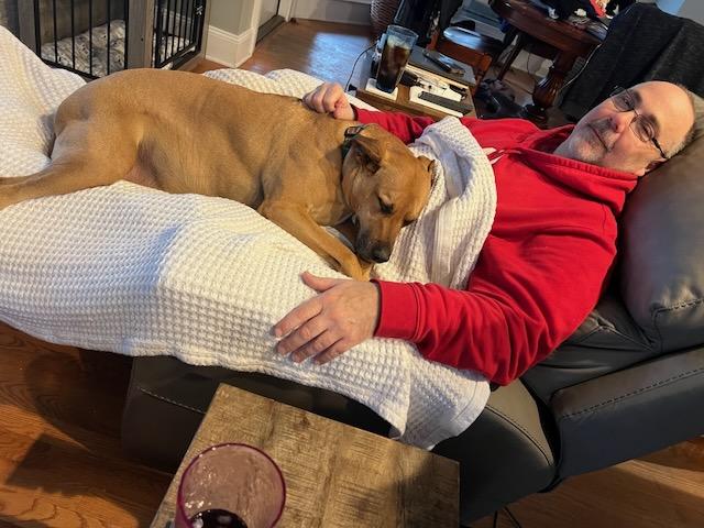 Enlarge INDY, a Adoptable mixed breed in Alpharetta, GA image 2/6