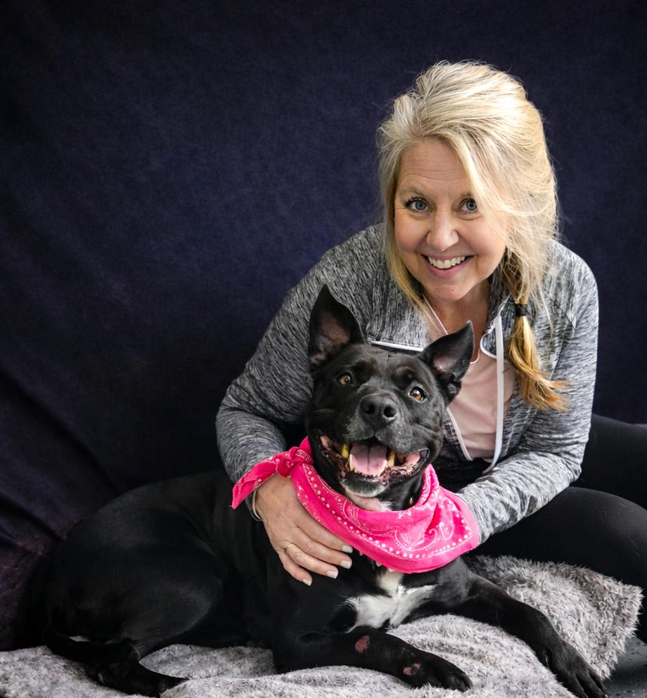 Enlarge Bonnie, a Adoptable mixed breed in Cheboygan, MI image 1/6