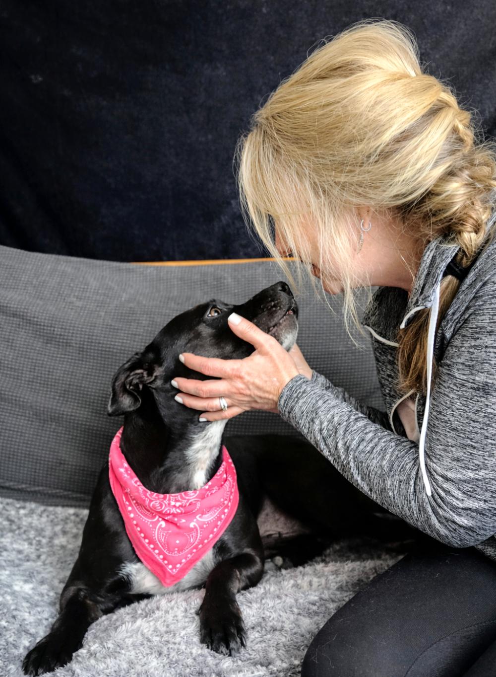 Enlarge Bonnie, a Adoptable mixed breed in Cheboygan, MI image 5/6