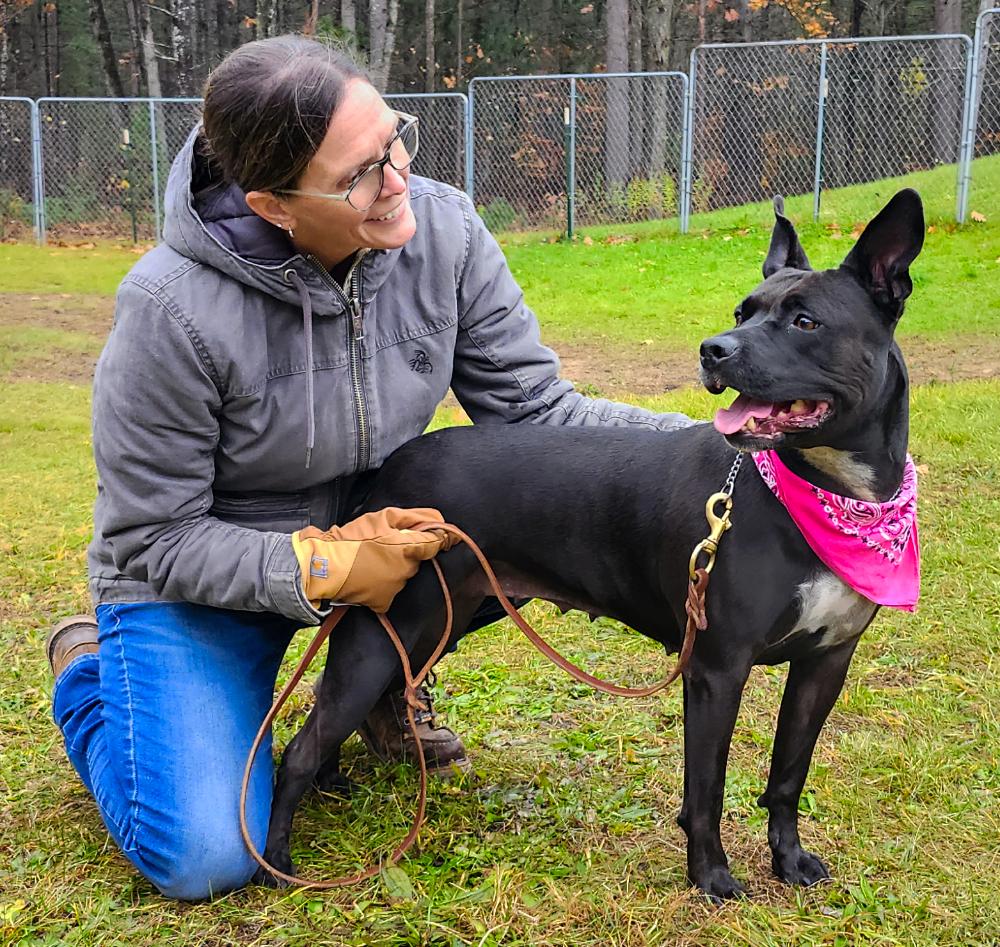 Bonnie, a Adoptable mixed breed image 6/6