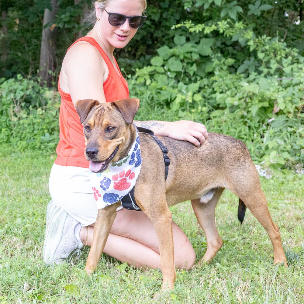 Wonton (Male), a Adoptable mixed breed in West Grove, PA image 6/6