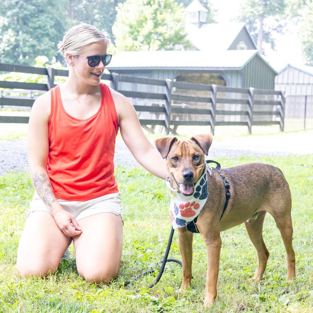 Wonton (Male), a Adoptable mixed breed in West Grove, PA image 2/6