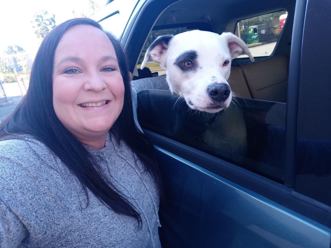 Sasha, a Adoptable mixed breed image 3/10