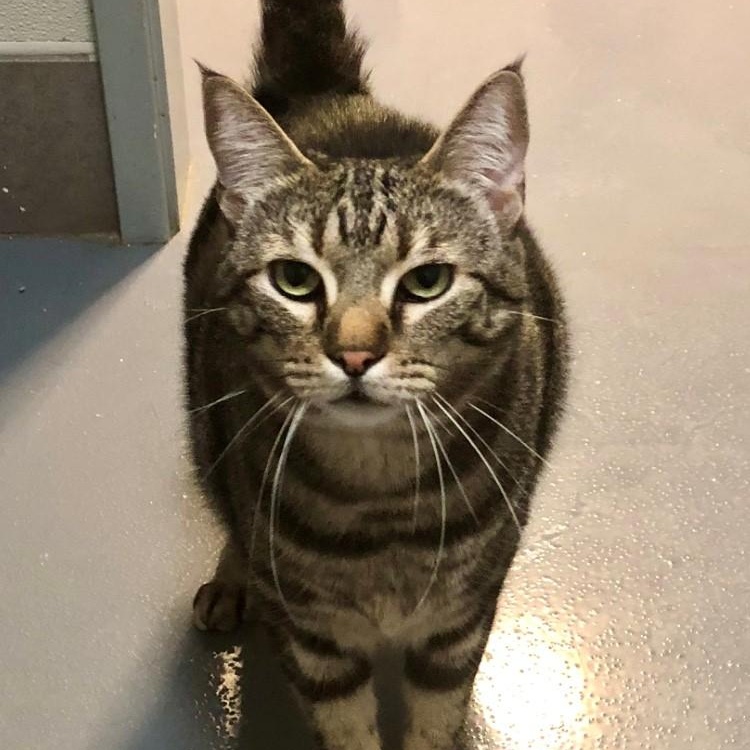 Helena — thumbnail 2