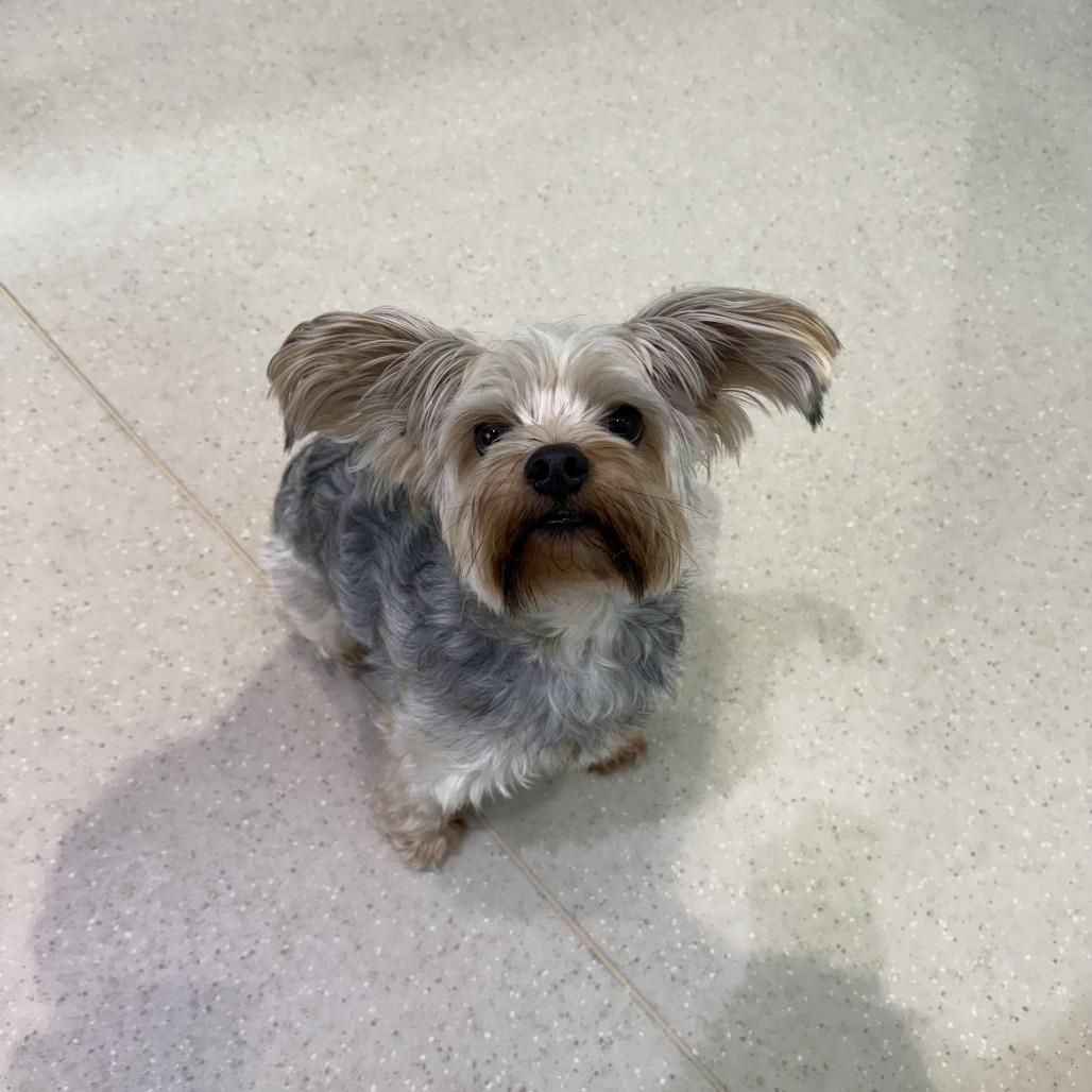 Quincy — thumbnail 2