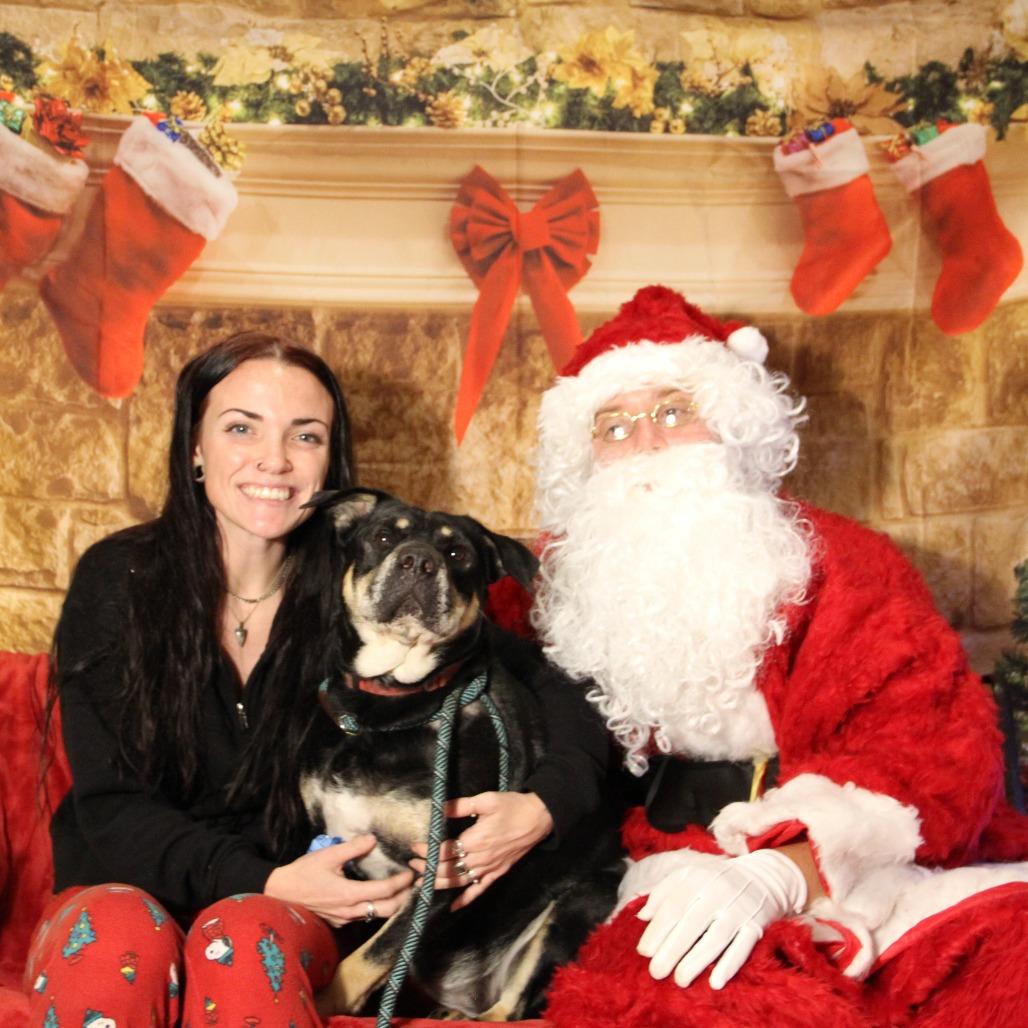 Elexis — thumbnail 2