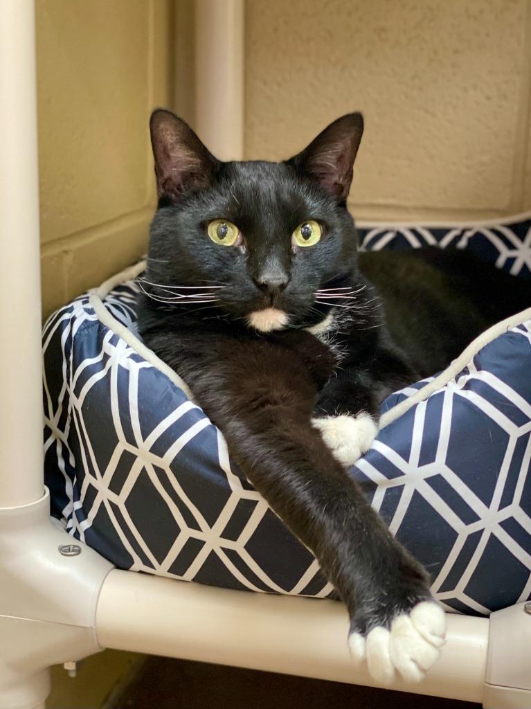 Vladimir thumbnail 4