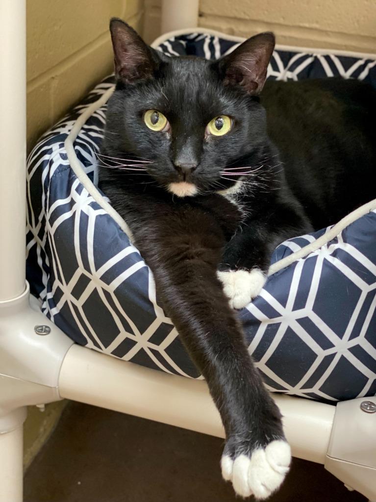 Vladimir thumbnail 6