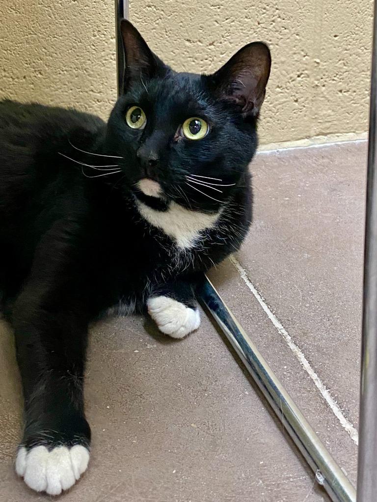 Vladimir thumbnail 7