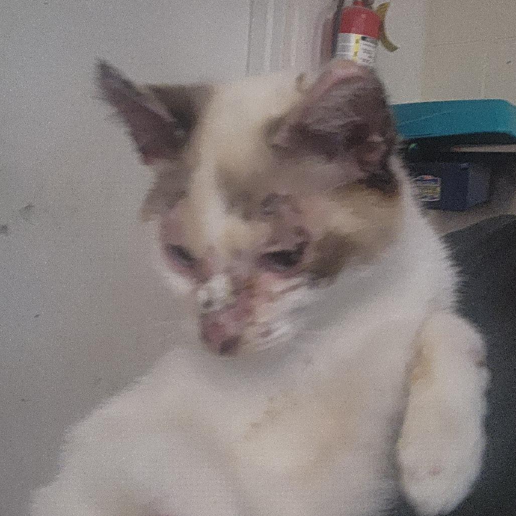 Eloise — thumbnail 3