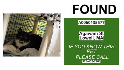 whammy — thumbnail 2