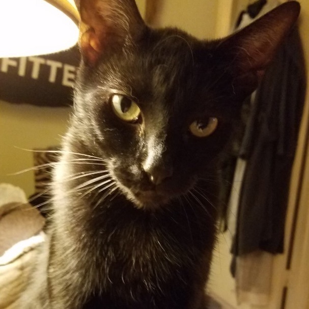 Steve photo 3