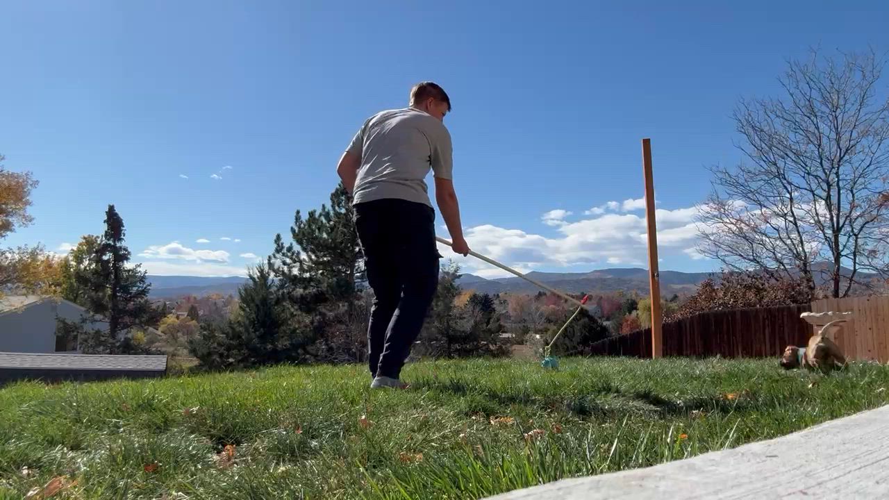 Enlarge Julietta, an adopted mixed breed in Littleton, CO video 4/6