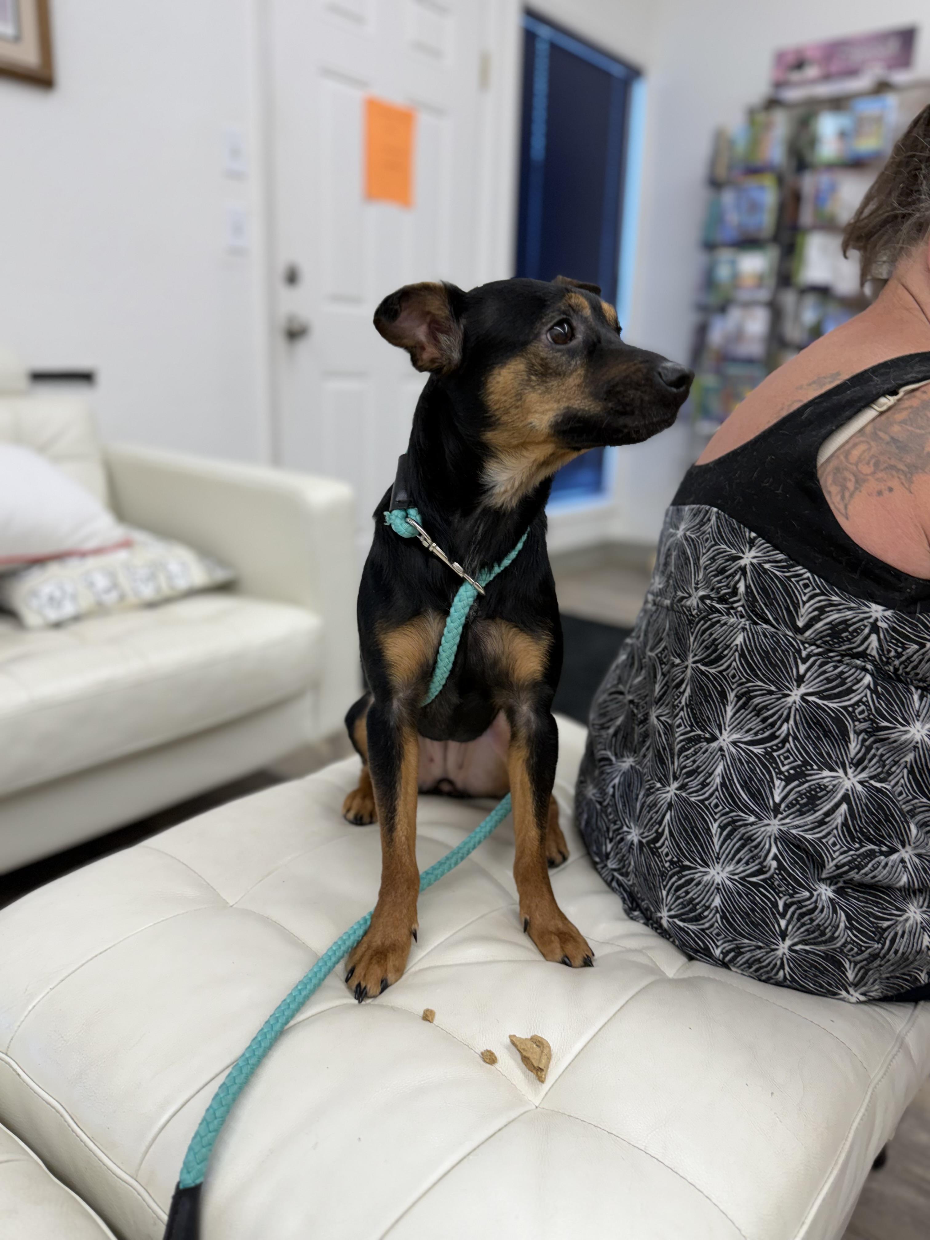 Ruckus — thumbnail 2