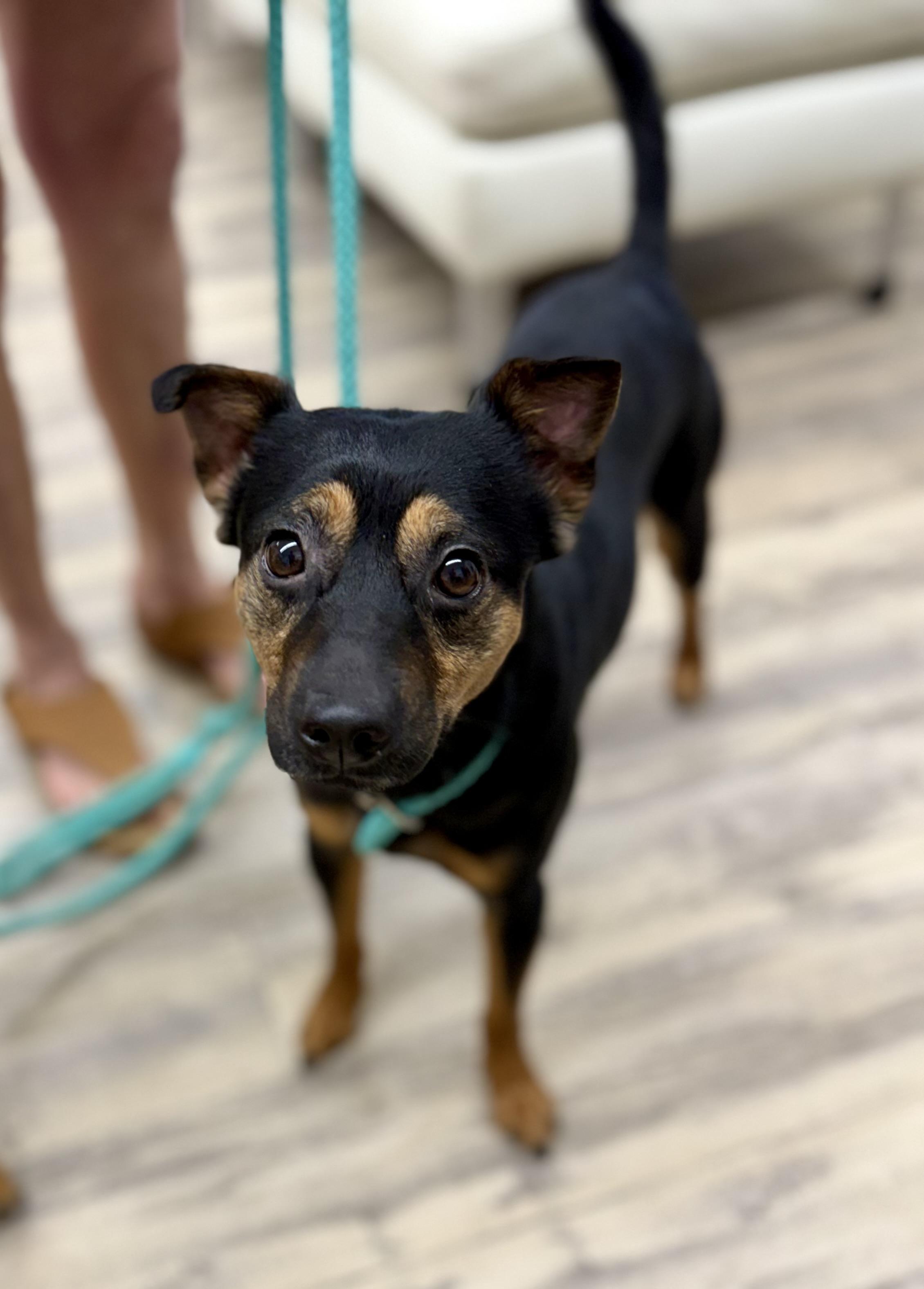 Ruckus — thumbnail 5