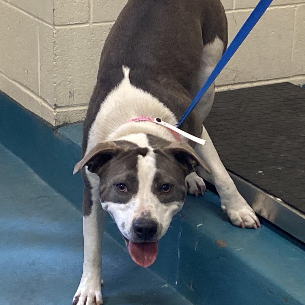 Happy — thumbnail 2