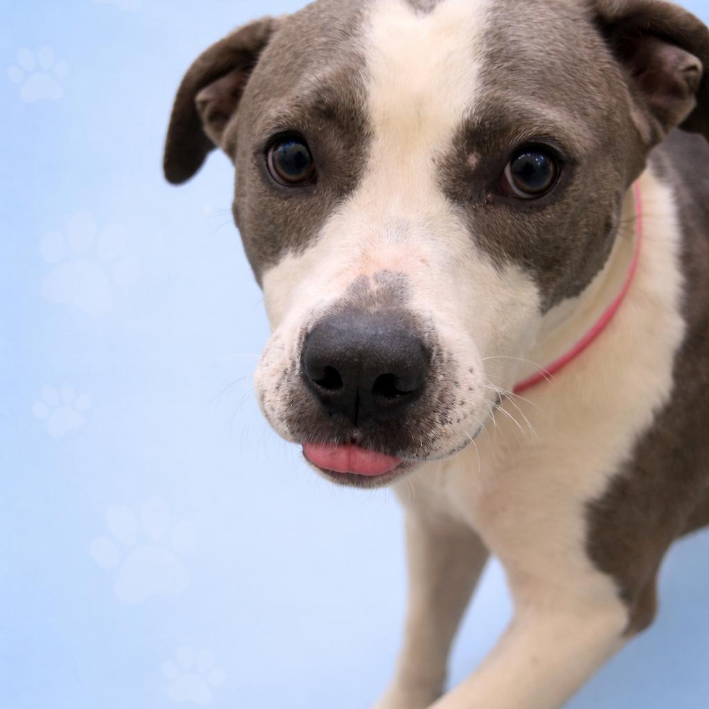 Happy — thumbnail 3