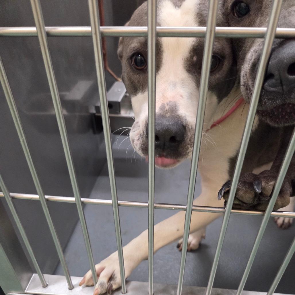 Happy — thumbnail 4