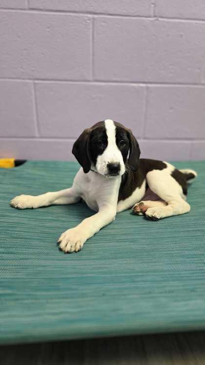 Marathon thumbnail 2