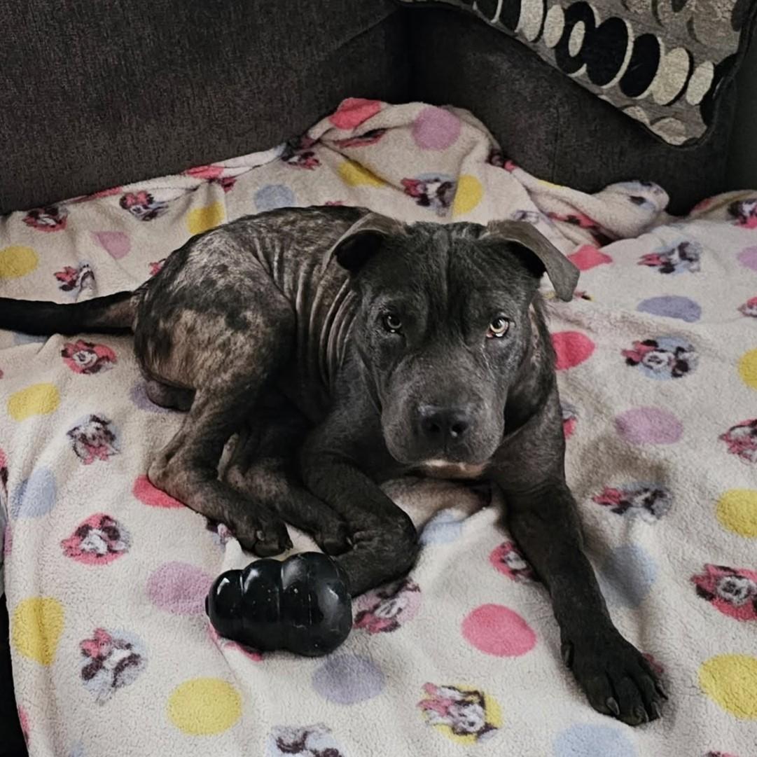 Tiberius